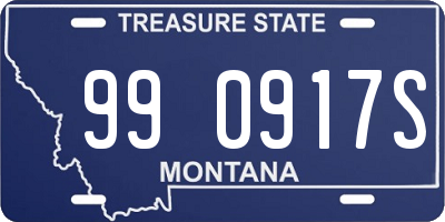 MT license plate 990917S