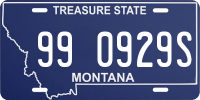 MT license plate 990929S