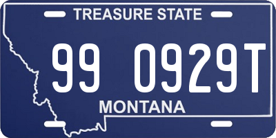 MT license plate 990929T