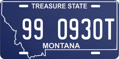 MT license plate 990930T