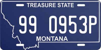 MT license plate 990953P