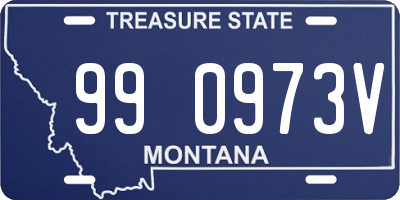 MT license plate 990973V