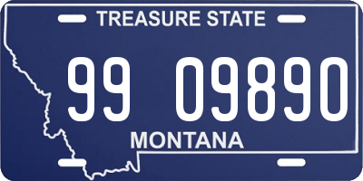 MT license plate 990989O