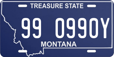 MT license plate 990990Y