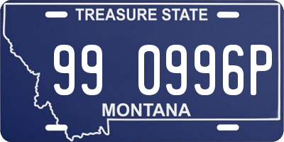 MT license plate 990996P