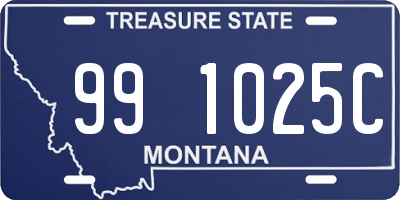 MT license plate 991025C