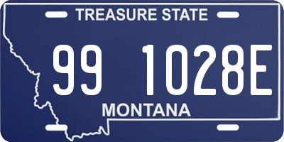 MT license plate 991028E