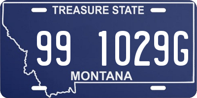 MT license plate 991029G