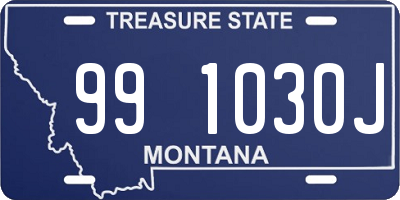 MT license plate 991030J