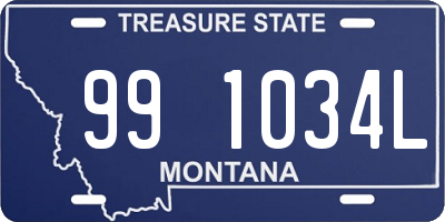 MT license plate 991034L