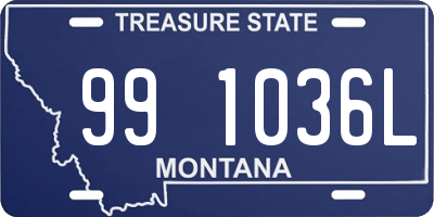 MT license plate 991036L