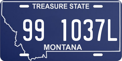 MT license plate 991037L