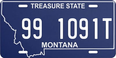 MT license plate 991091T