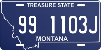 MT license plate 991103J