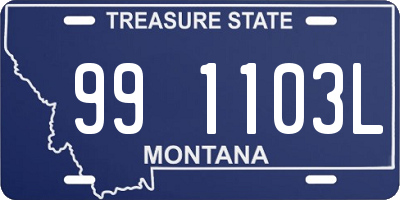 MT license plate 991103L