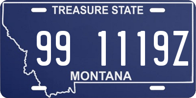 MT license plate 991119Z