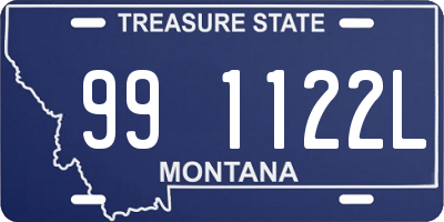 MT license plate 991122L