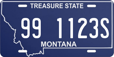 MT license plate 991123S