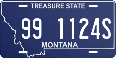 MT license plate 991124S