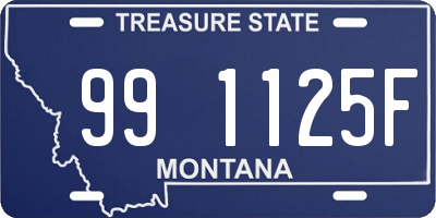 MT license plate 991125F