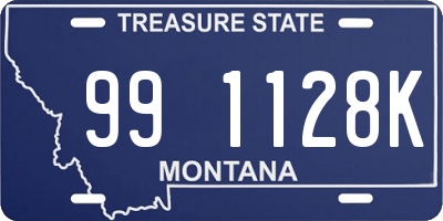 MT license plate 991128K