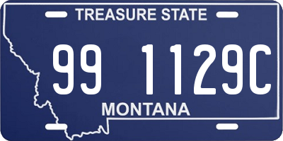 MT license plate 991129C