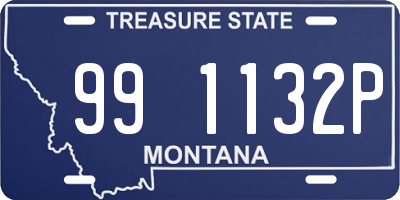 MT license plate 991132P