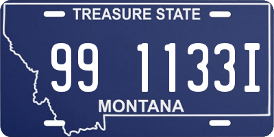 MT license plate 991133I