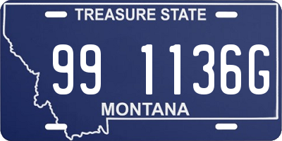 MT license plate 991136G