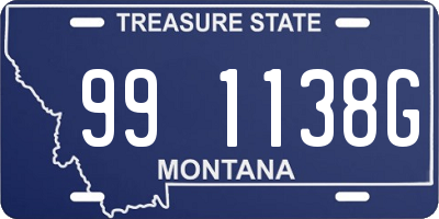 MT license plate 991138G