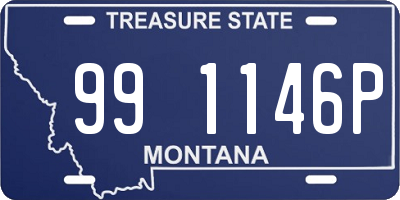 MT license plate 991146P