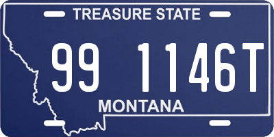 MT license plate 991146T