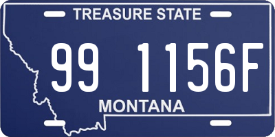 MT license plate 991156F