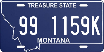 MT license plate 991159K