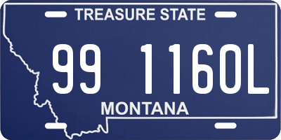 MT license plate 991160L