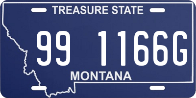 MT license plate 991166G