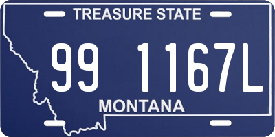 MT license plate 991167L