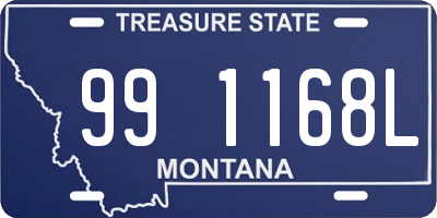 MT license plate 991168L