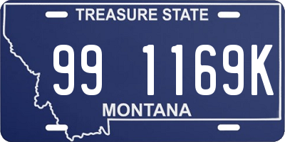 MT license plate 991169K