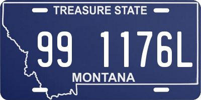 MT license plate 991176L