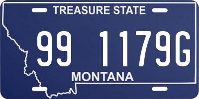 MT license plate 991179G