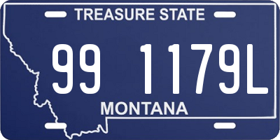 MT license plate 991179L