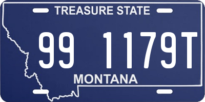 MT license plate 991179T