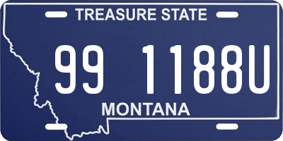 MT license plate 991188U