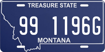 MT license plate 991196G