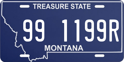 MT license plate 991199R