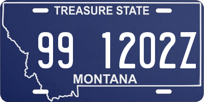 MT license plate 991202Z