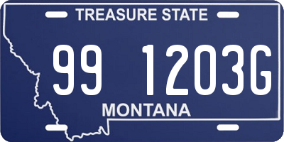 MT license plate 991203G