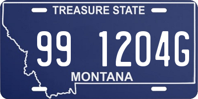 MT license plate 991204G