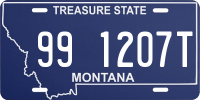 MT license plate 991207T